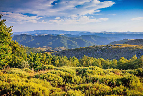 camping dans le parc national des Cévennes