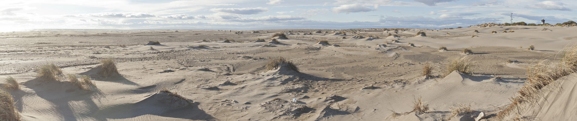 camping grau du roi plage de lespiguette dunes