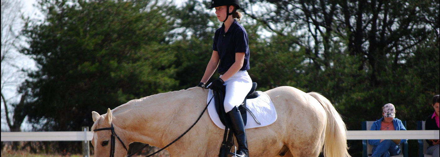 camping uzes haras national equitation