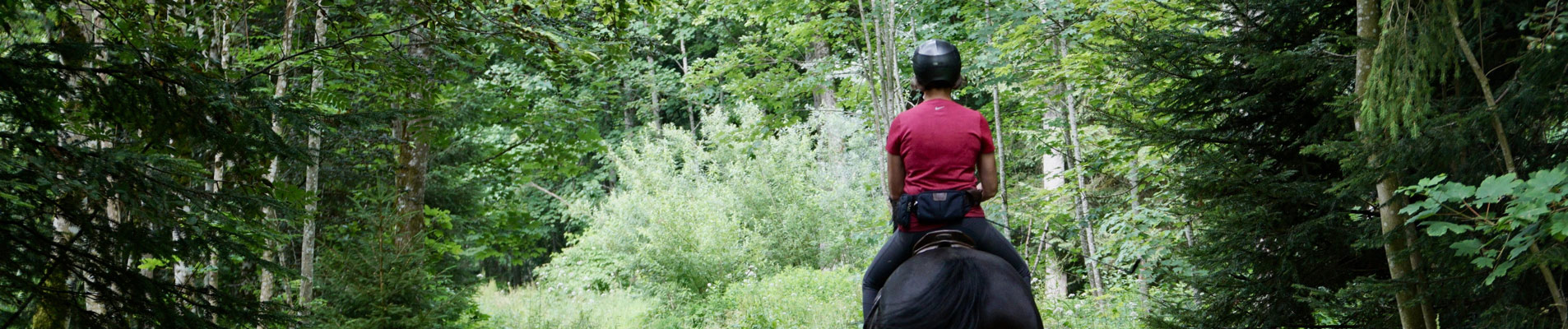 centre equestre anduze