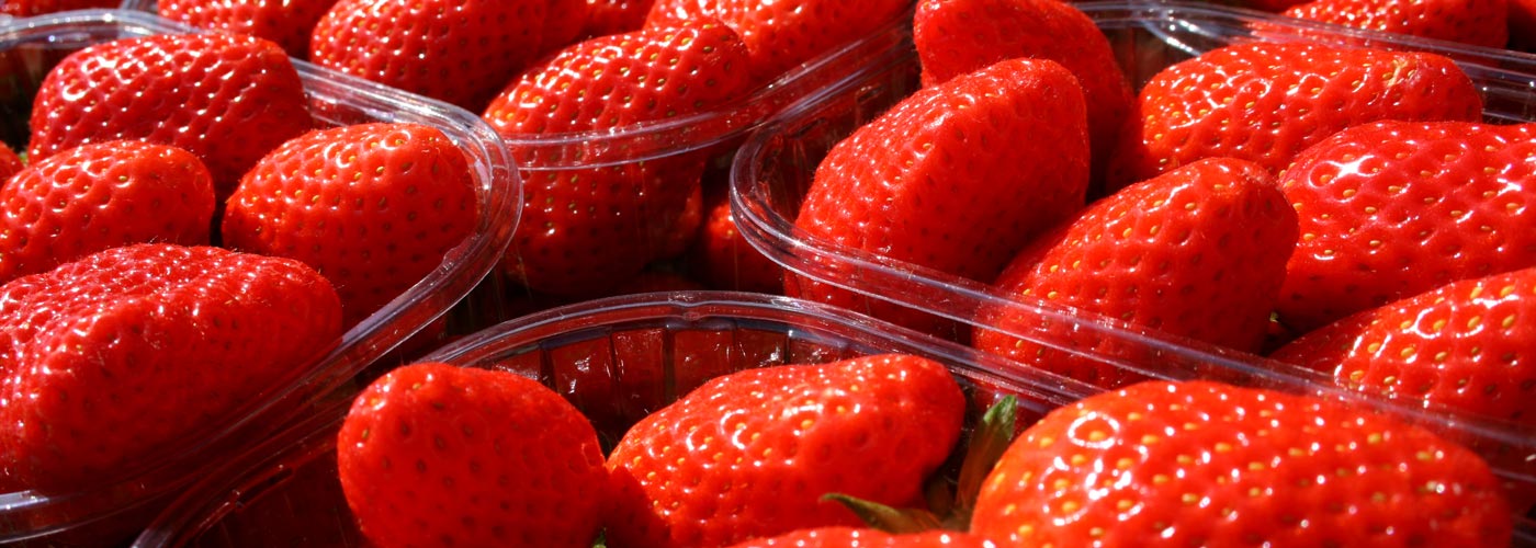 halles de nimes fraises gariguette