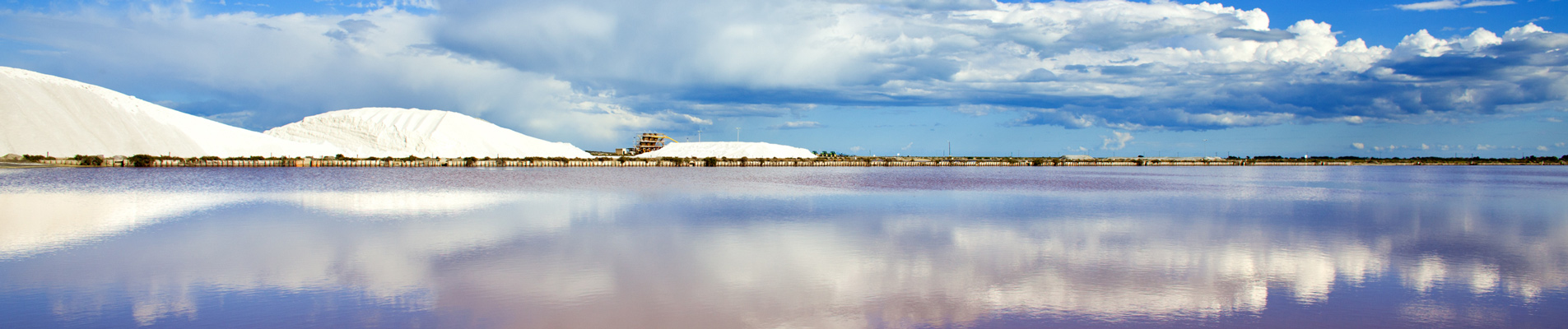 salin midi aigues mortes