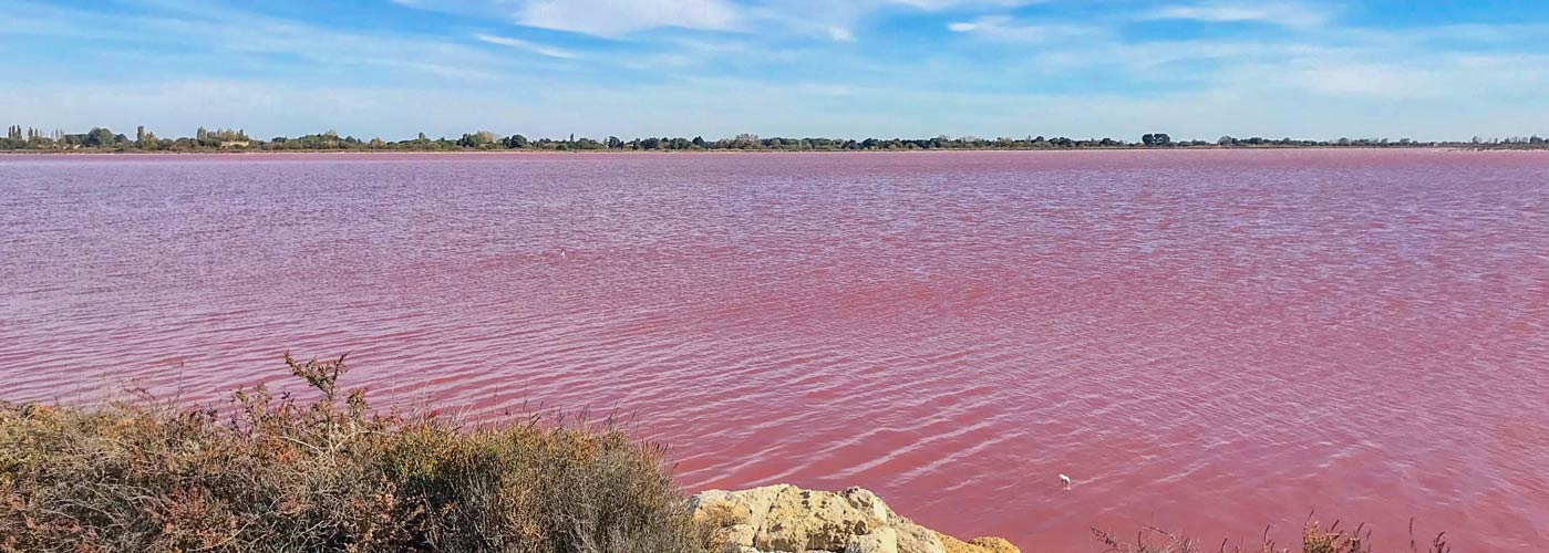 visiter salin aigues mortes